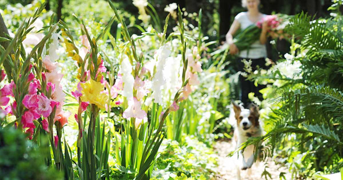 Die schönsten Blumen kommen aus dem eigenen Garten Rosengut Langerwisch