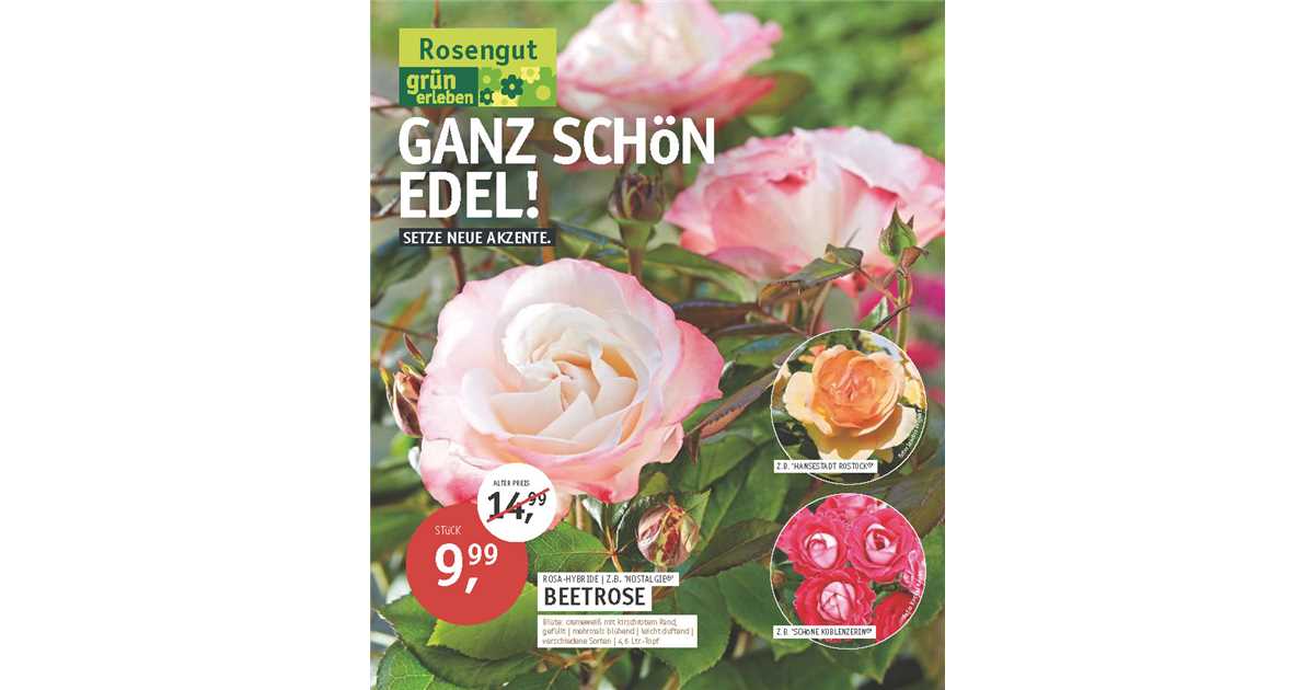 Unsere neue ProspektBeilage Rosengut Langerwisch