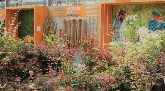 Winterharte Gartenpflanzen Rosengut Langerwisch