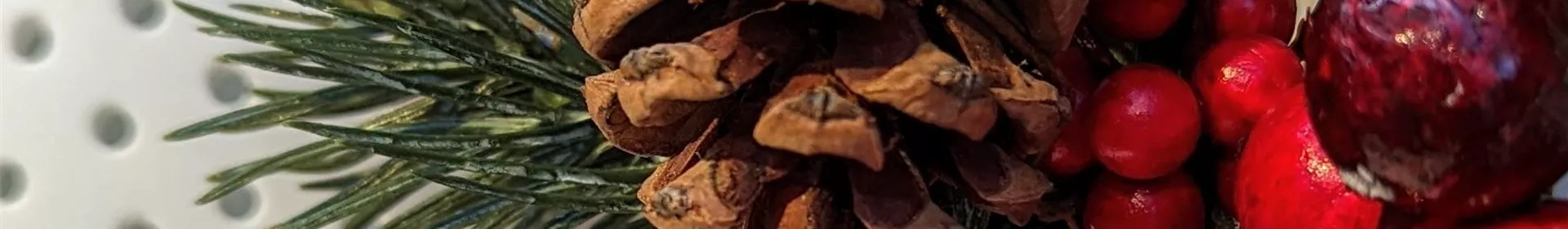 Entdecken Sie unsere Weihnachtswelt - Rosengut Langerwisch