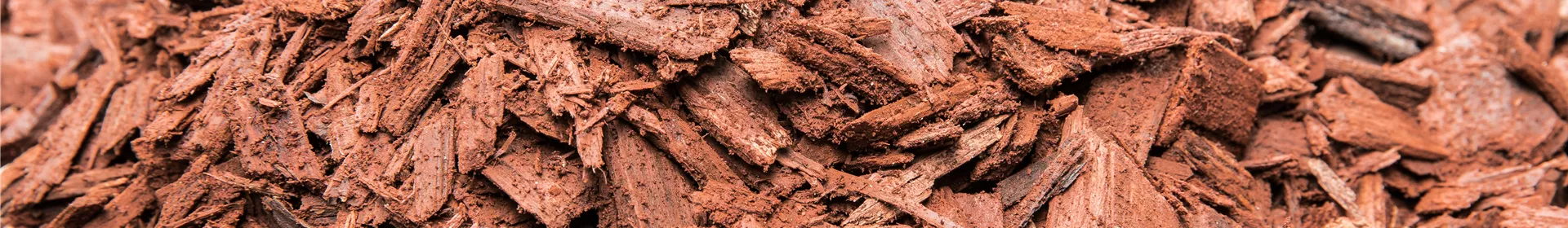 Der Mulch macht’s - Rosengut Langerwisch Der Mulch macht’s - Rosengut Langerwisch