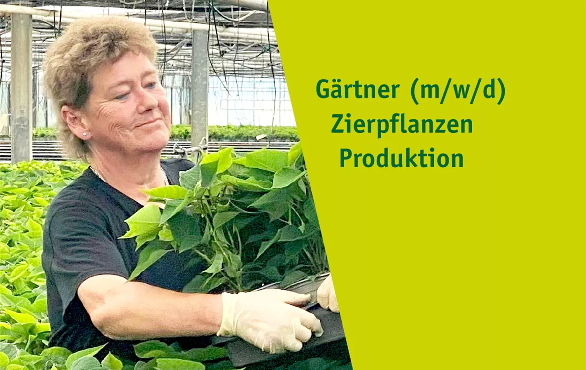 Stel_Gaertner_Zierpflanzen22.jpg