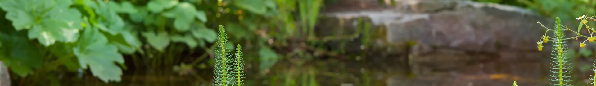 Findlinge im Garten - Sitzgelegenheit, Wasserfall oder Dekoelement - Rosengut Langerwisch