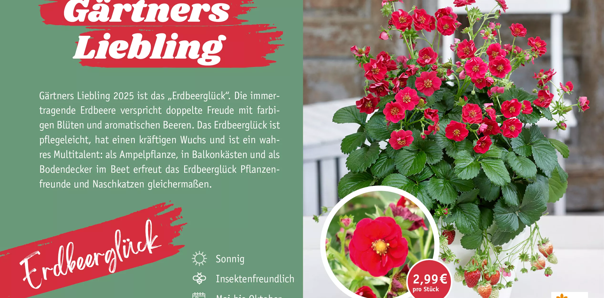 Gaernters_Gartenglueck.jpg