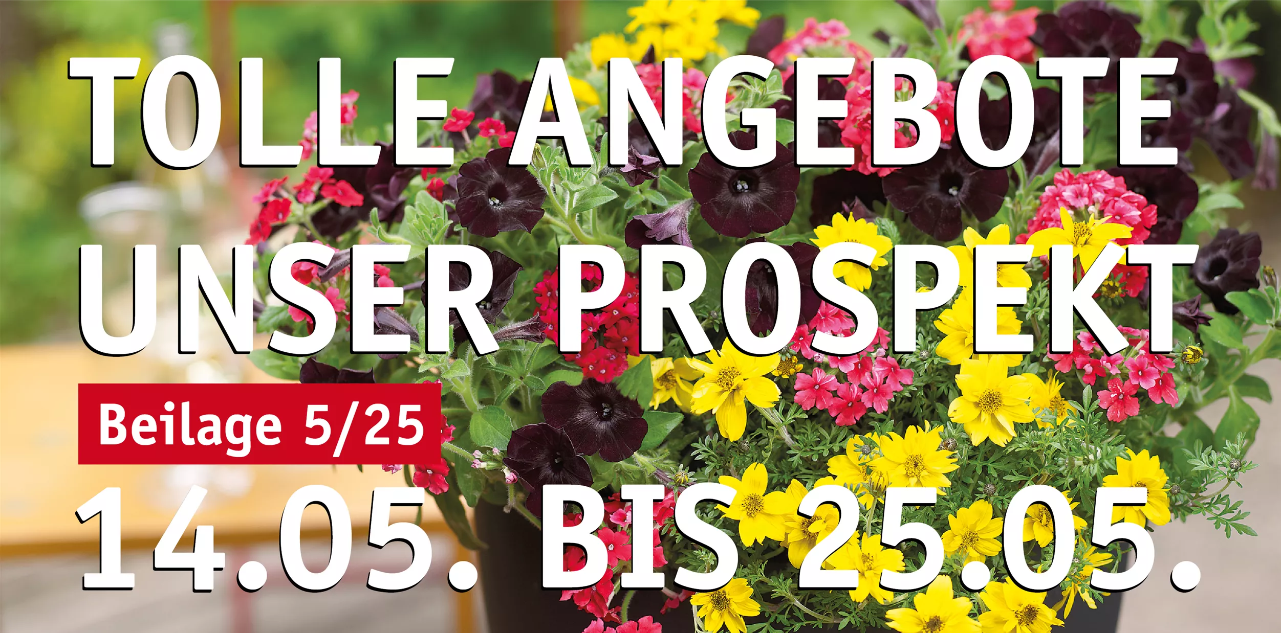 Vorlage_Prospekt_2503x1238px.jpg