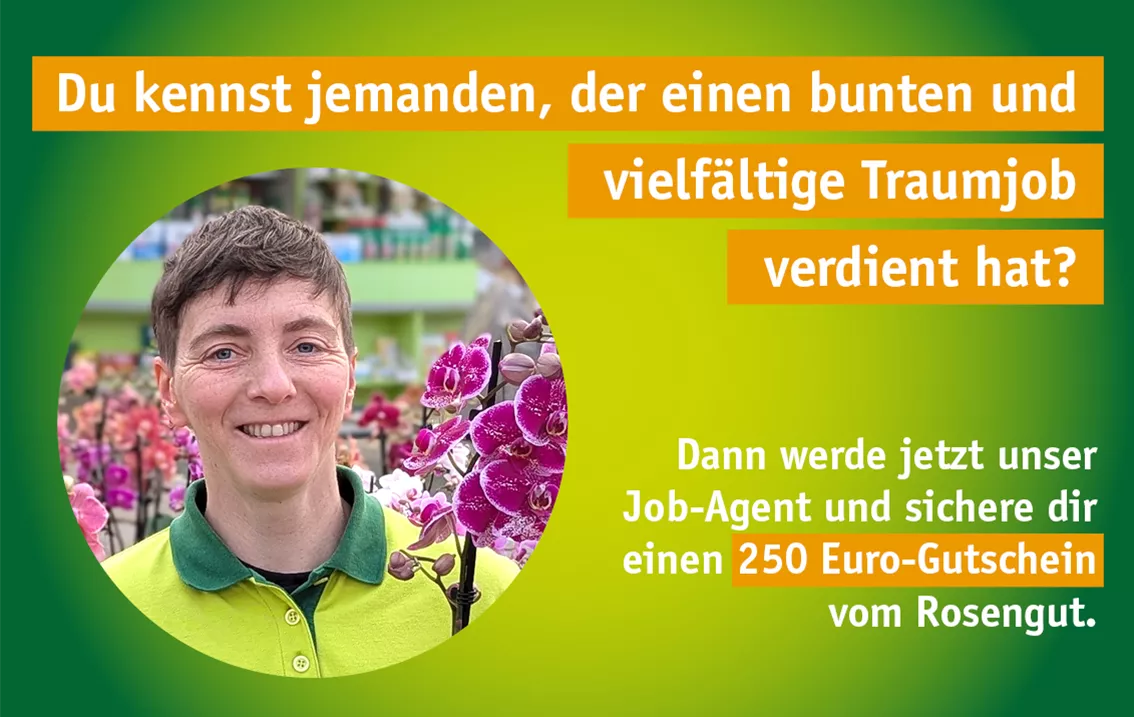 Stel_Job-Agent.jpg