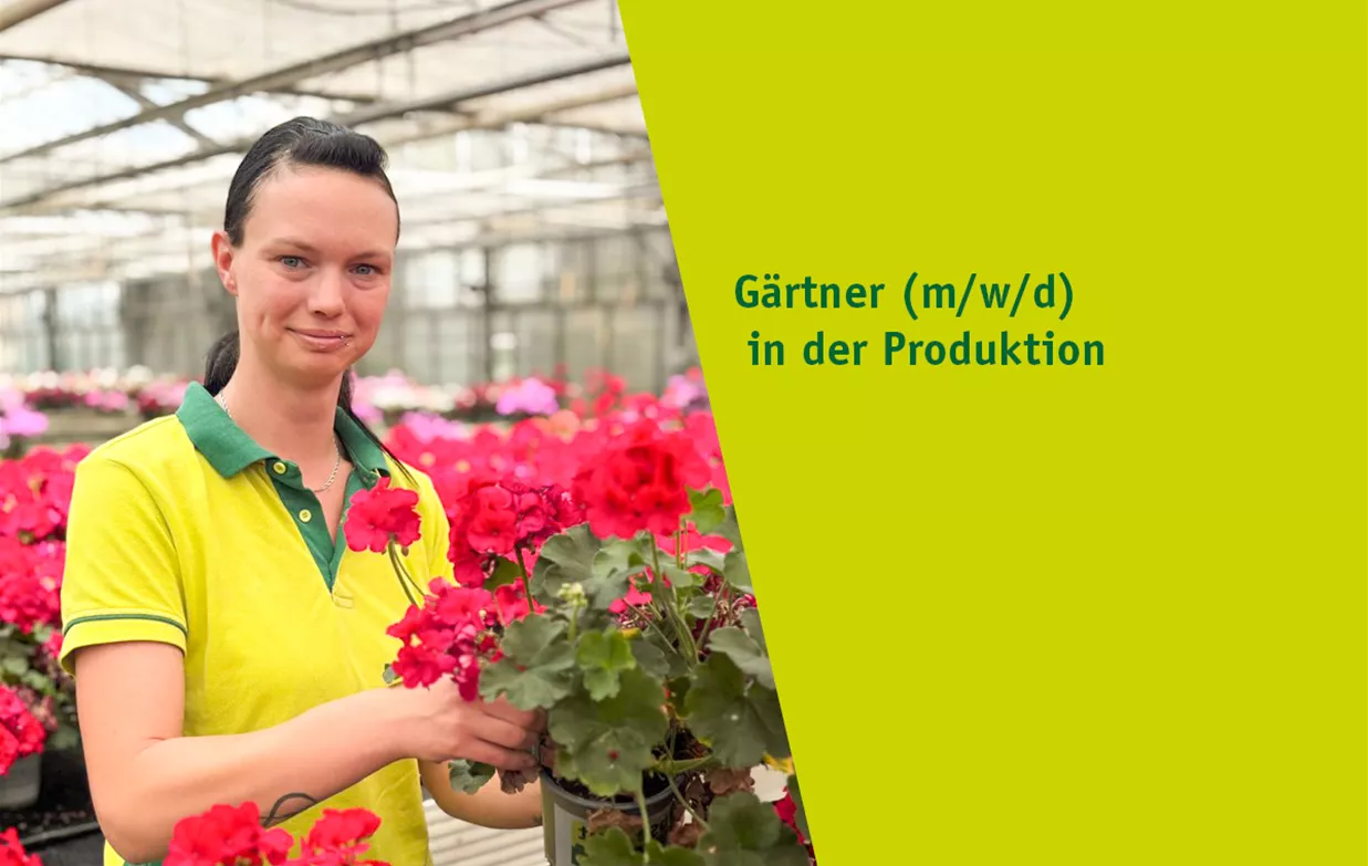 Stel_Gaertner_Produktion.jpg