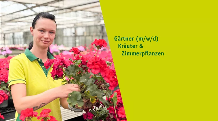 Stel_Gaernter_Produktion.jpg