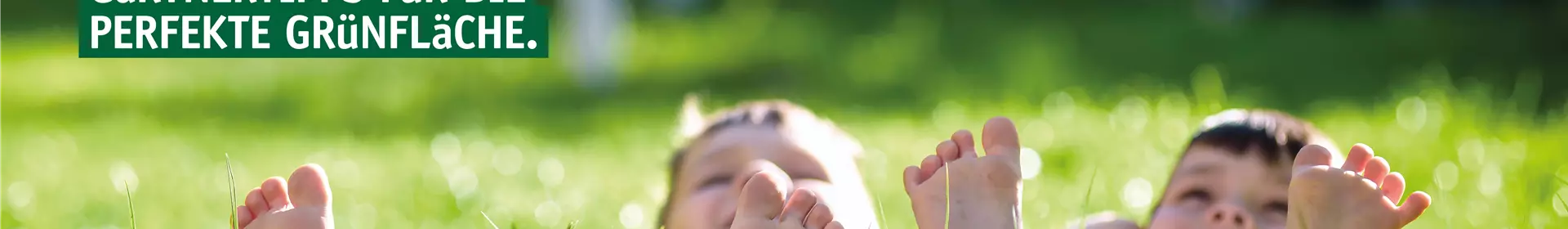Gartentipp im April: Rasenpflege zum Saisonstart - Rosengut Langerwisch