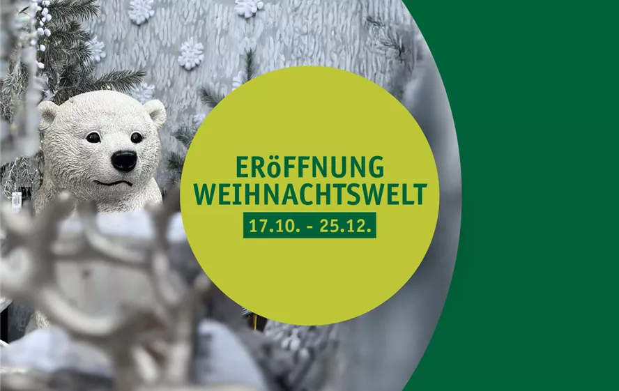 Neuigkeiten_Weihnachtswelt_01.png