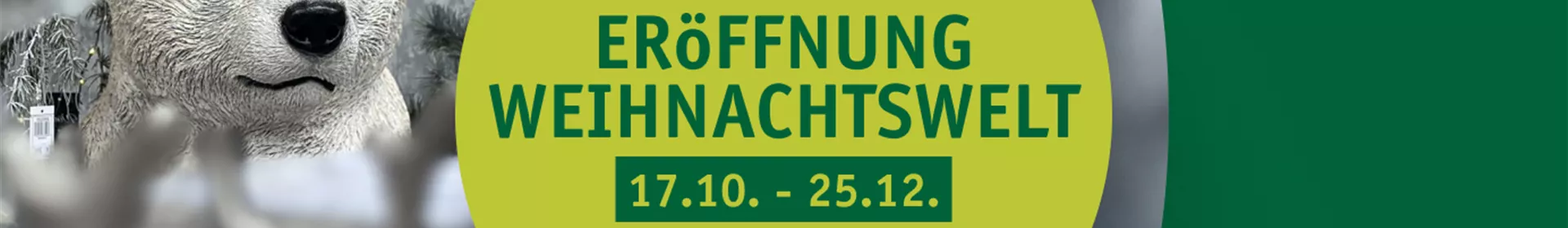 Eröffnung – Weihnachtswelt 🎄 - Rosengut Langerwisch