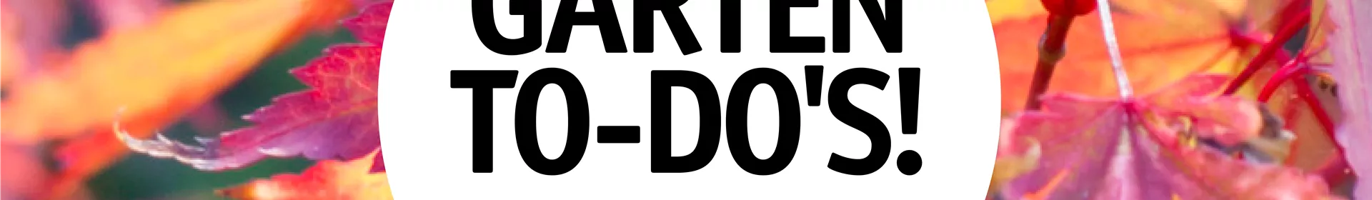 Garten To-Do's für den November 🌱 - Rosengut Langerwisch