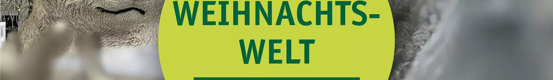 Weihnachtswelt 🎄 - Rosengut Langerwisch