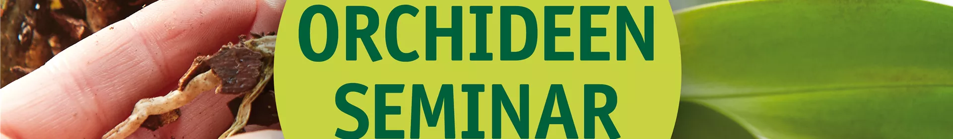 Orchideen-Seminar | Orchideenwochen - Rosengut Langerwisch
