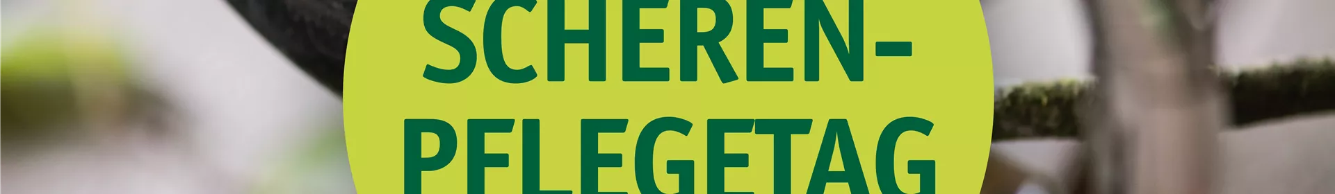 Scherenpflegetag mit FELCO - Rosengut Langerwisch