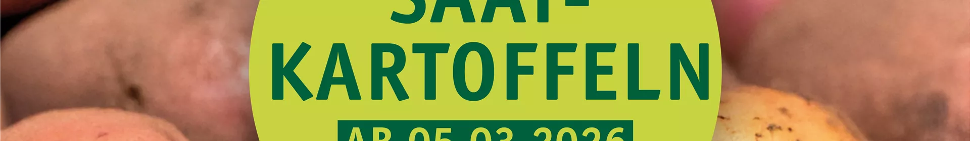 Saatkartoffeln - Rosengut Langerwisch