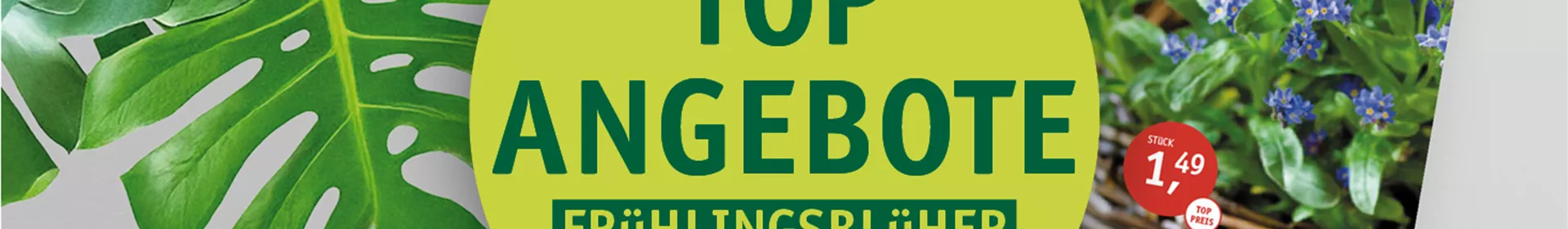 Beilage 2 - 2026 - Rosengut Langerwisch