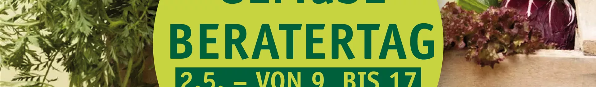 Gemüsetag im Rosengut – entdecken, probieren, genießen - Rosengut Langerwisch