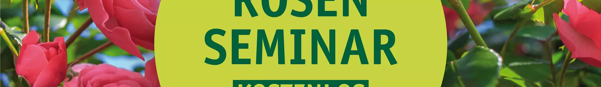 Rosenseminar – Wissen rund um die Rose - Rosengut Langerwisch