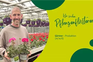 Gärtner/in in der Pflanzenproduktion (m/w/d) – Pflanzenproduktion