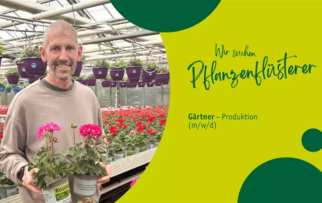 Gärtner/in in der Pflanzenproduktion (m/w/d) – Pflanzenproduktion