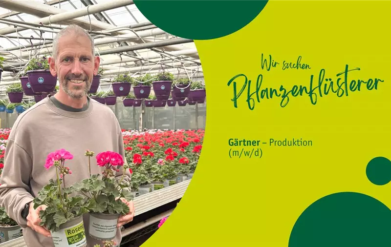 Gärtner/in in der Pflanzenproduktion (m/w/d) – Pflanzenproduktion