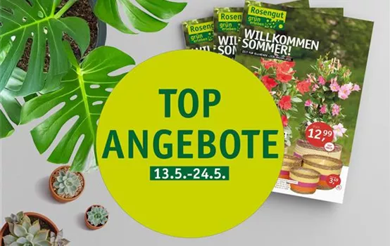 TOP-Angebote.jpg