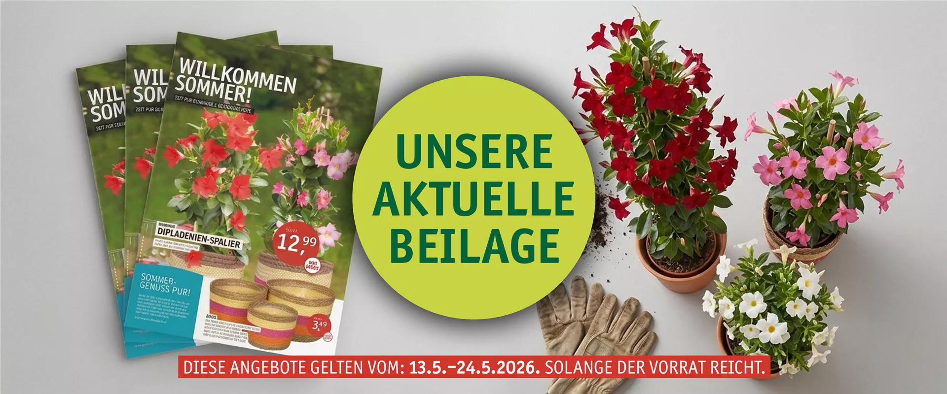Aktuelle Beilage: So wird dein Garten zur Wohlfühloase.