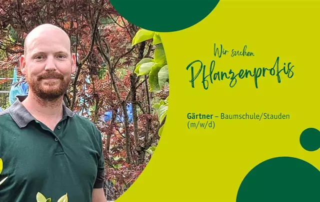 Gärtner/in in der Baumschule (m/w/d) – Baumschule