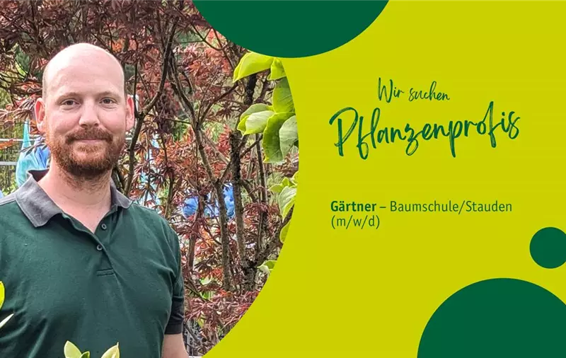 Gärtner/in in der Baumschule (m/w/d) – Baumschule