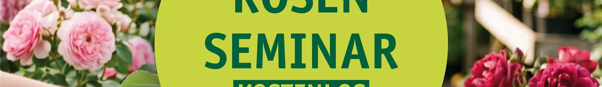 Rosenseminar – Wissen rund um die Rose - Rosengut Langerwisch