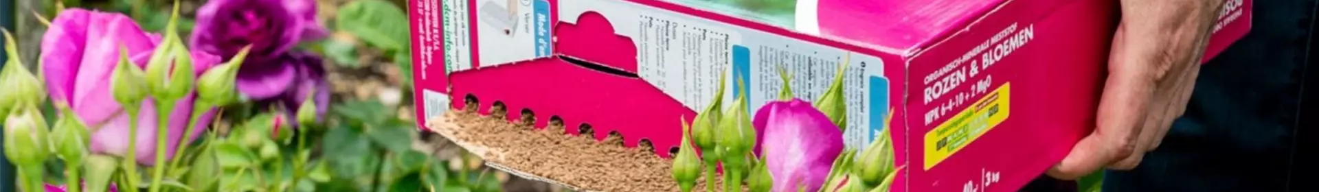 Gartentipp im Juli: Nachdüngen im Sommer - Rosengut Langerwisch