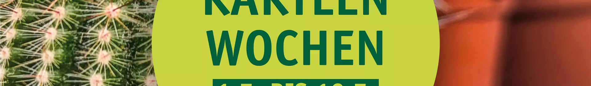 Kakteen-Woche - Rosengut Langerwisch