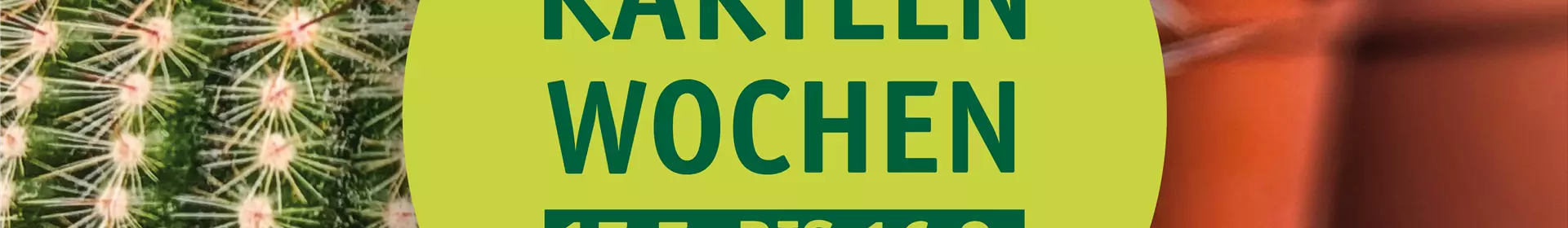 Kakteen-Woche - Rosengut Langerwisch