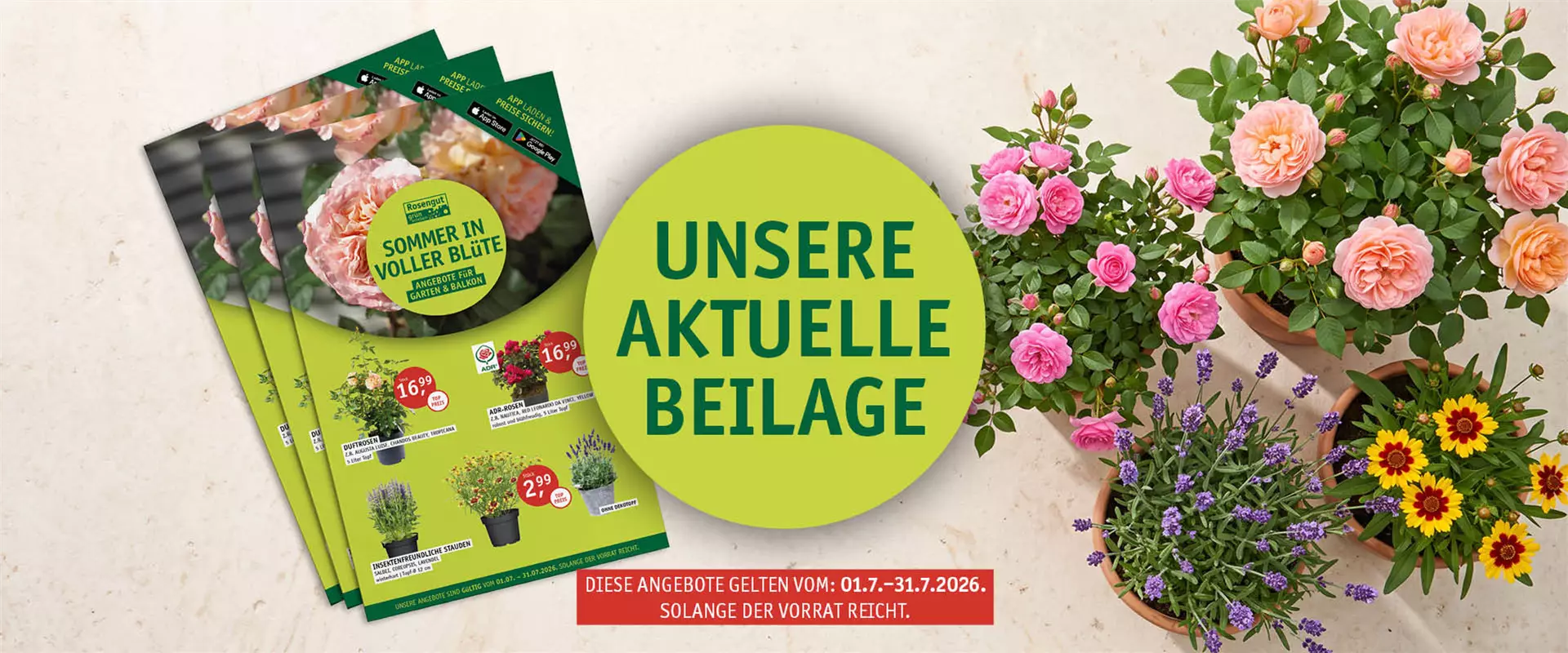 Monatsaktion Juli 2026 - So wird dein Garten zur Wohlfühloase.