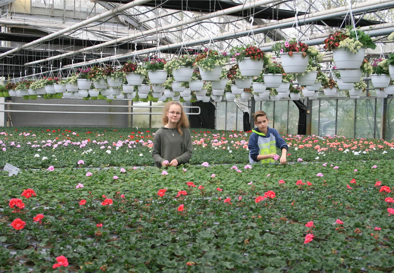 Kinder und Jugendliche bei einem gärtnerischen Projekt im Rosengut