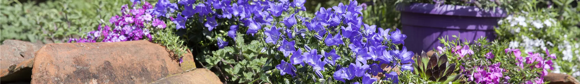 Gartenarbeiten im Mai - Rosengut Langerwisch