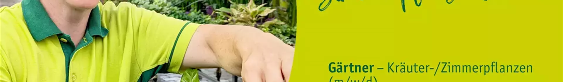 Gärtner/in für Pflanzenberatung & Verkauf (m/w/d) – Gartencenter - Rosengut Langerwisch