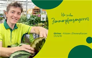 Gärtner/in für Pflanzenberatung & Verkauf (m/w/d) – Gartencenter