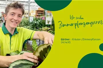 Gärtner/in für Pflanzenberatung & Verkauf (m/w/d) – Gartencenter