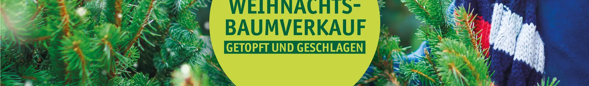 Weihnachtsbaumverkauf 2026 im Rosengut - Rosengut Langerwisch