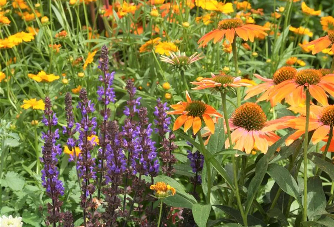 Ausbildung im Gartenbau im Rosengut