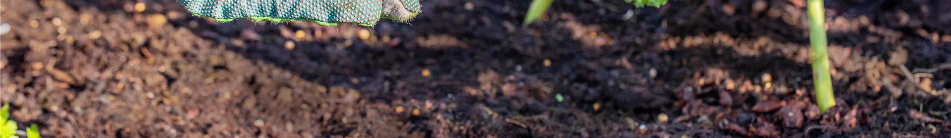 Dünger ist nicht gleich Dünger - Rosengut Langerwisch