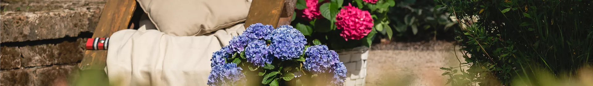 Lauschige Sitzplätze - Rosengut Langerwisch