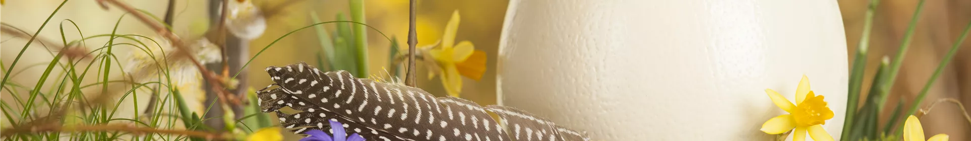 Das Garten-Paradies für Osterhase und Co. - Rosengut Langerwisch