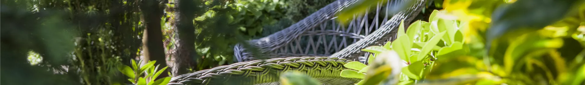 Die grüne Oase: die Terrasse in einen Garten verwandeln - Rosengut Langerwisch