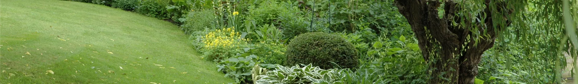 Ideen - Rosengut Langerwisch Ideen - Rosengut Langerwisch