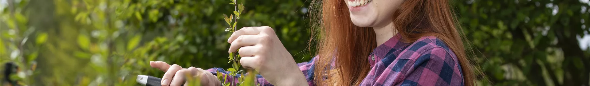 Diese Arbeiten sind jetzt im Garten noch nötig - Rosengut Langerwisch