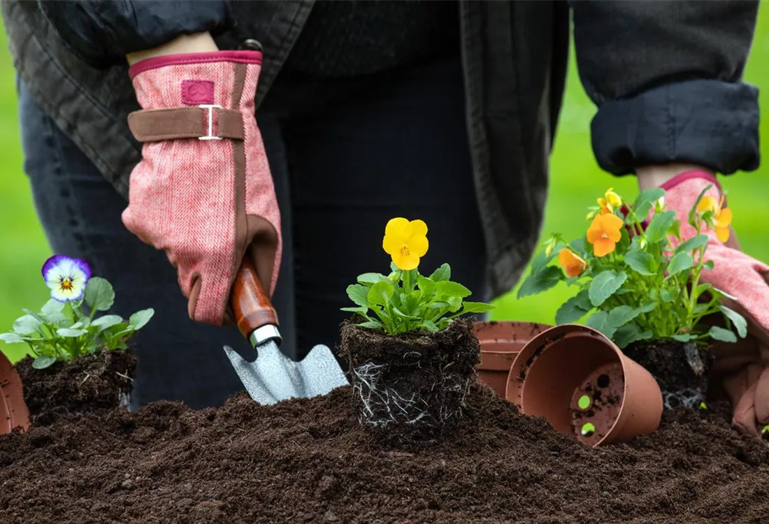 Arbeiten mit Pflanzen während der Ausbildung im Rosengut