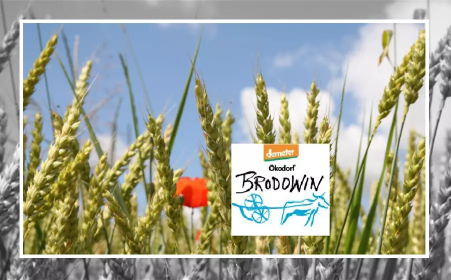 Ökodorf Brodowin